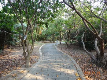 DuWei Parkcycleway