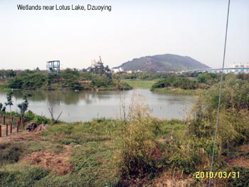 LotusLake-Wetlands